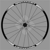 cannondale_1