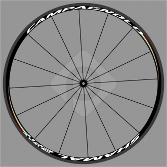 campagnolo_shamal